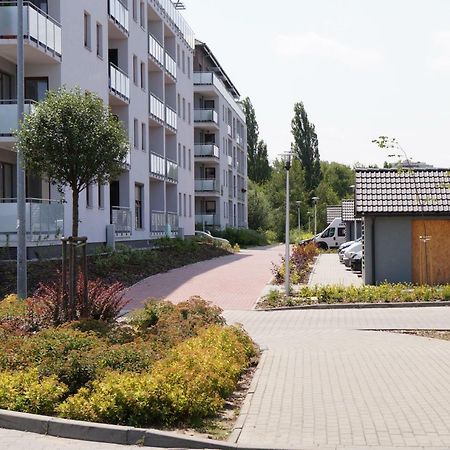 זיילונה גאורה Apartament Winnica מראה חיצוני תמונה